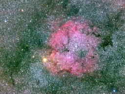 IC1396 - La nébuleuse de la trompe de l'éléphant