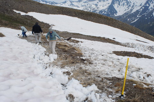 Déneigement