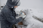 Marmotte de neige